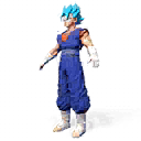 Clothes | Super Saiyan Blue Vegito Character