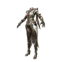 Clothes | Star Gazer